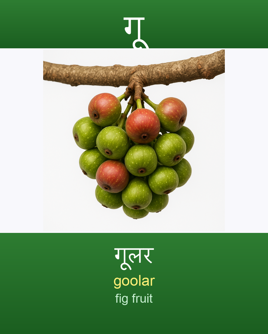गू — गूलर