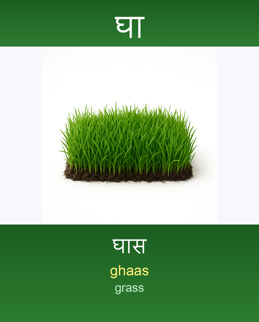घा — घास