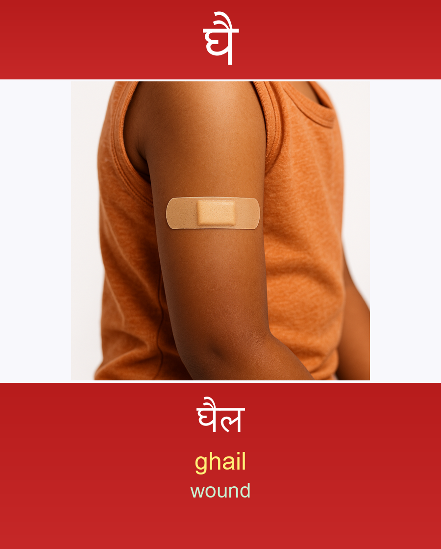 घै — घैल