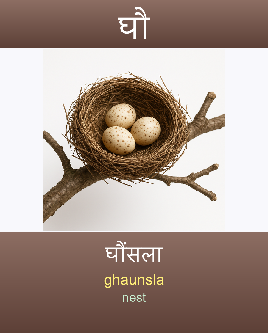 घौ — घौंसला