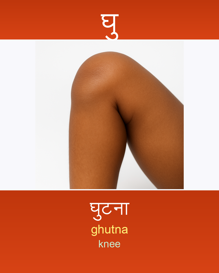 घु — घुटना