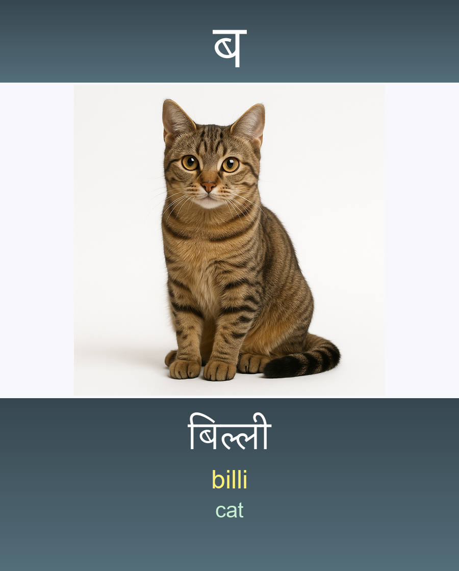 बिल्ली — billi (cat)