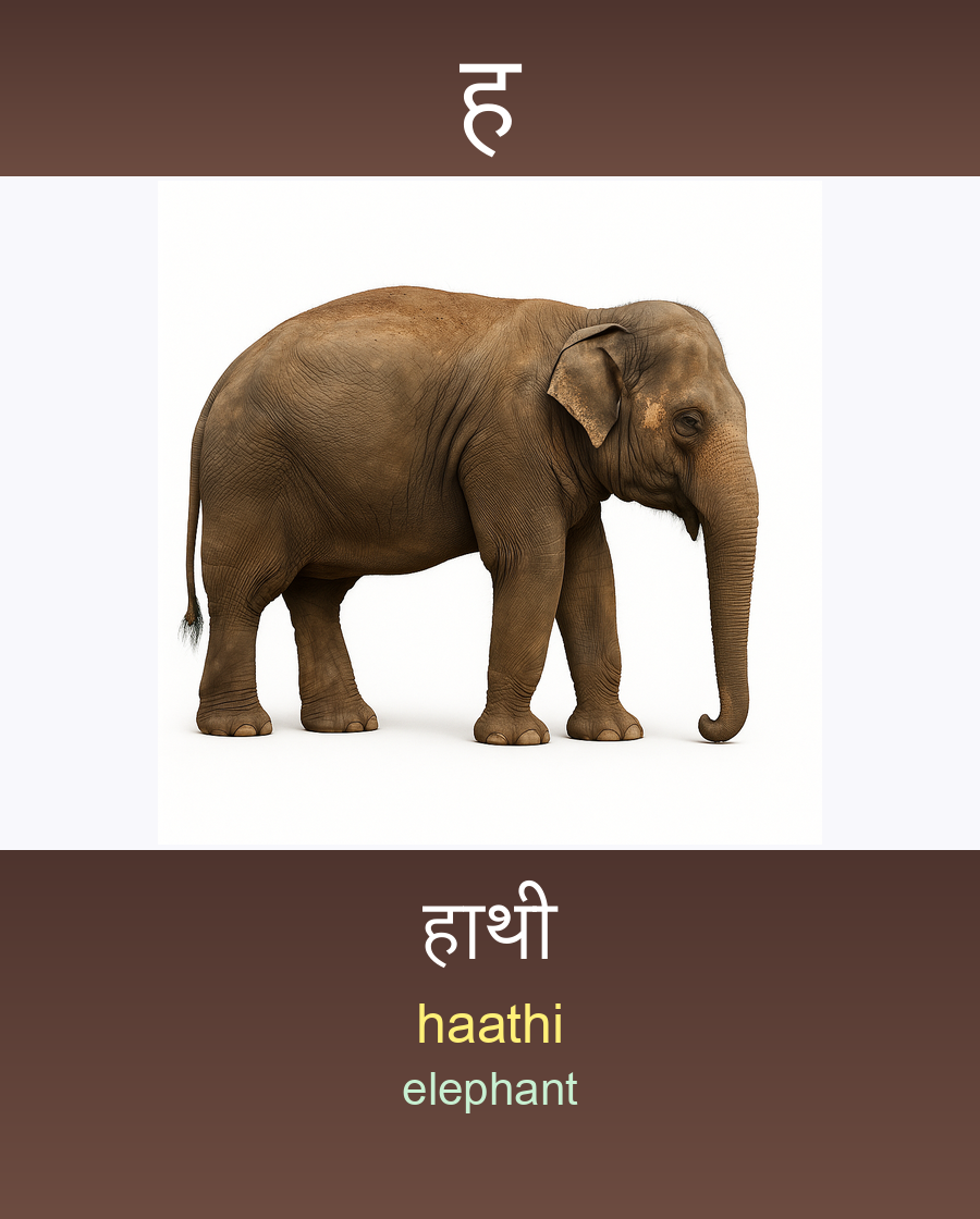 हाथी — haathi (elephant)