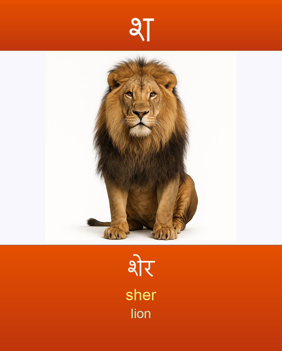 शेर — sher (lion)