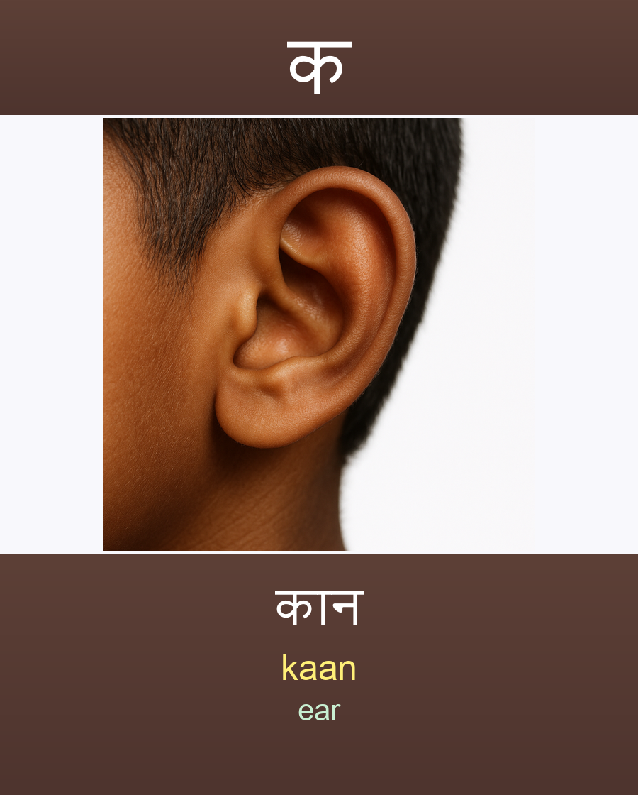 कान — kaan (ear)