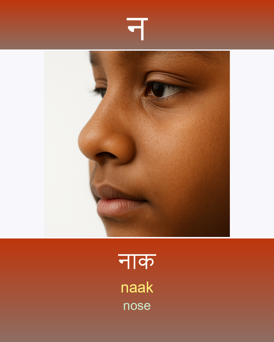 नाक — naak (nose)