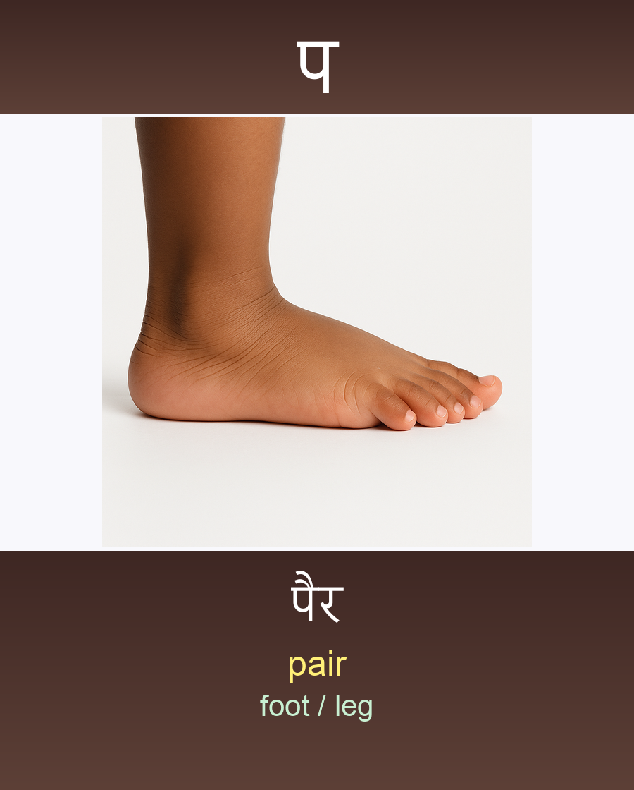 पैर — pair (foot)