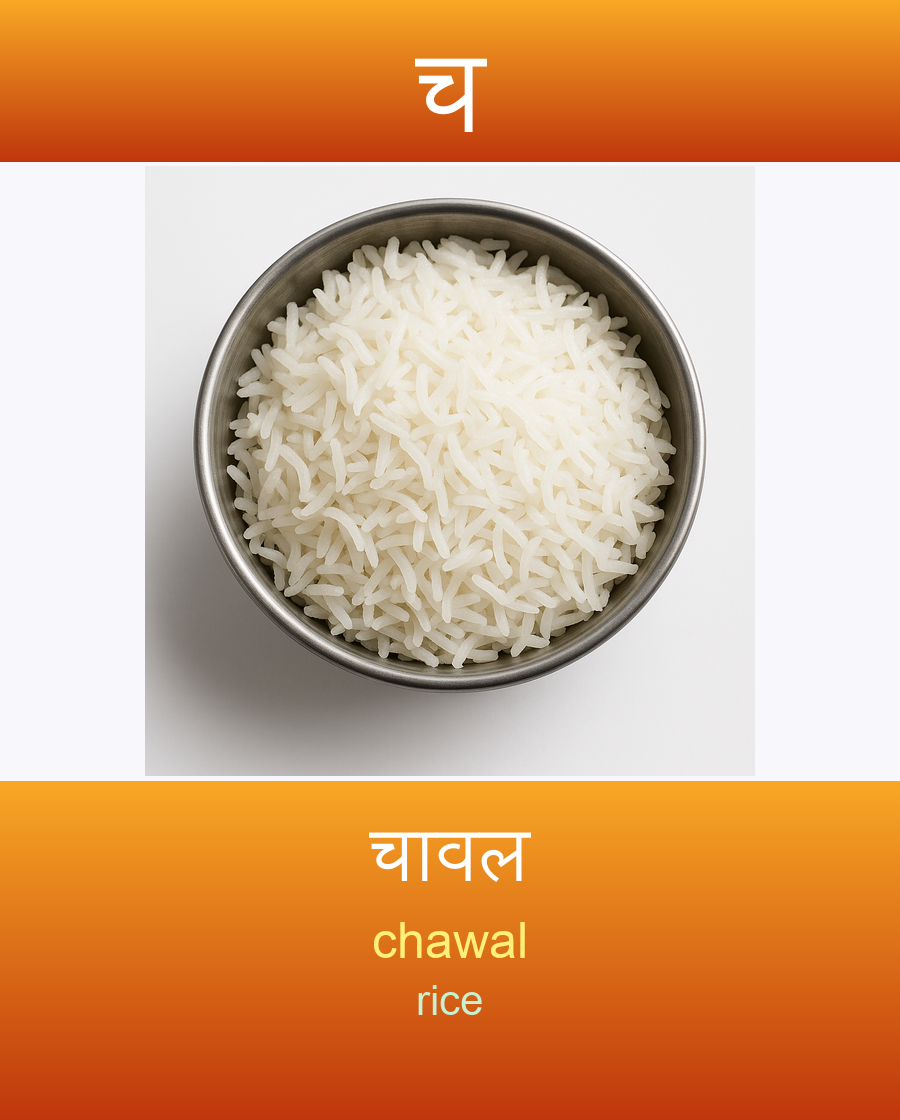 चावल — chawal (rice)