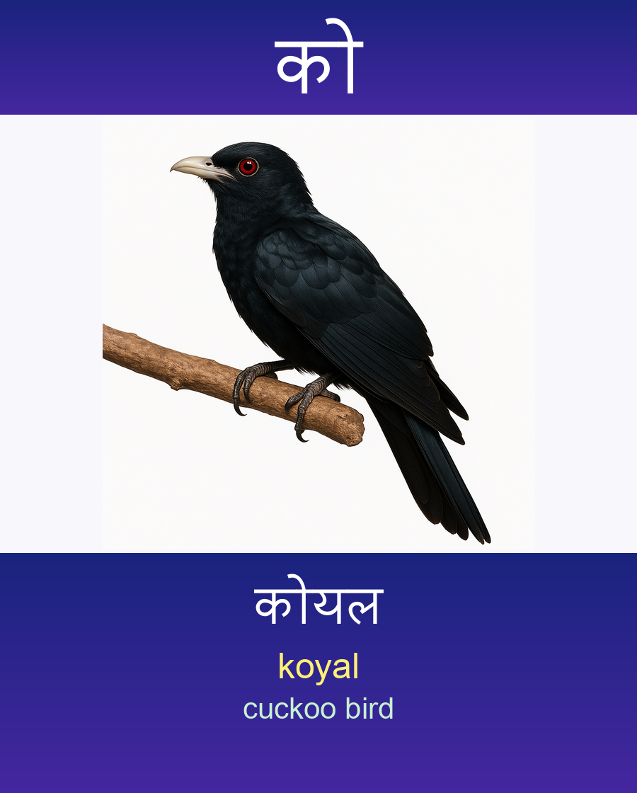 को — कोयल