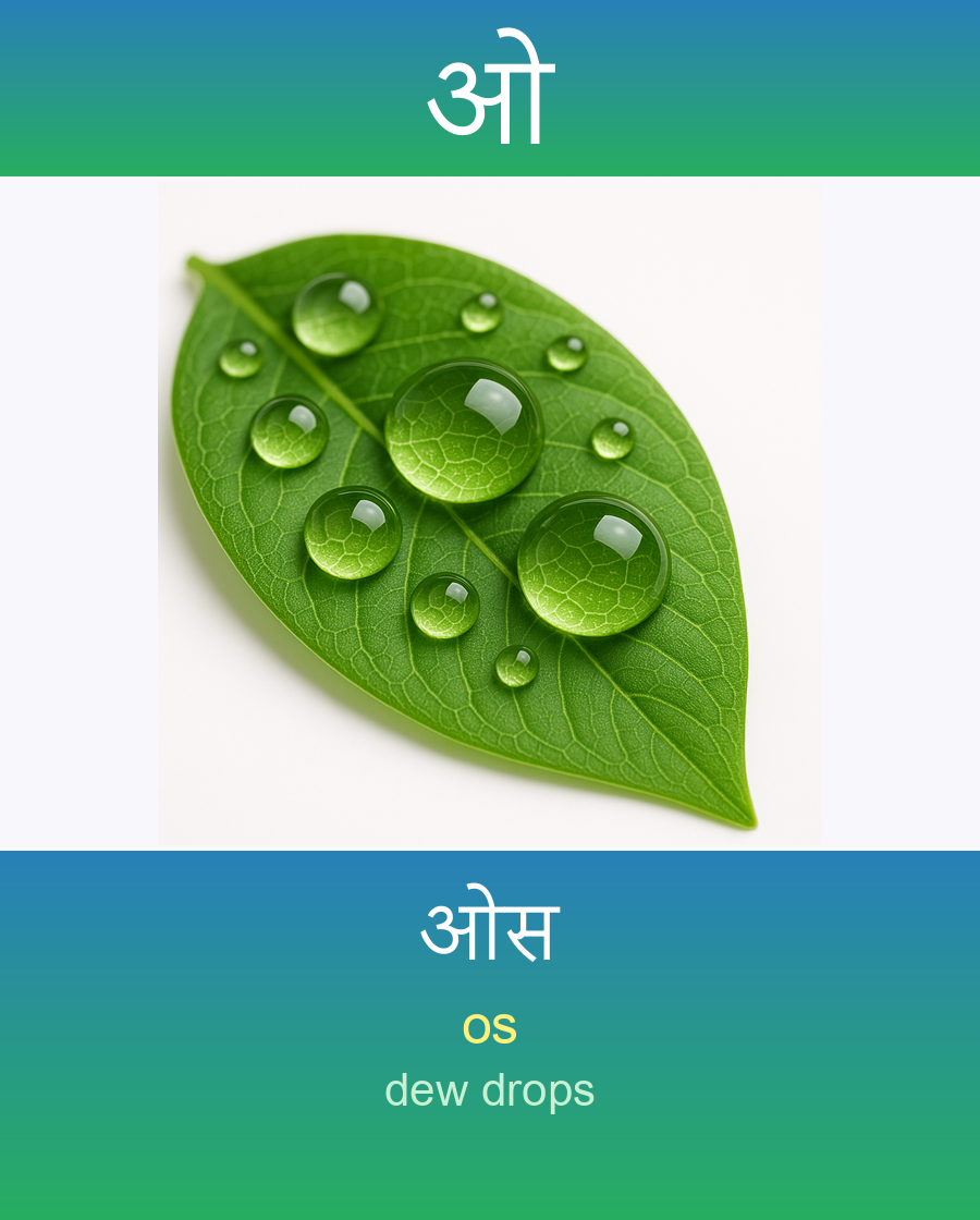ओ — ओस