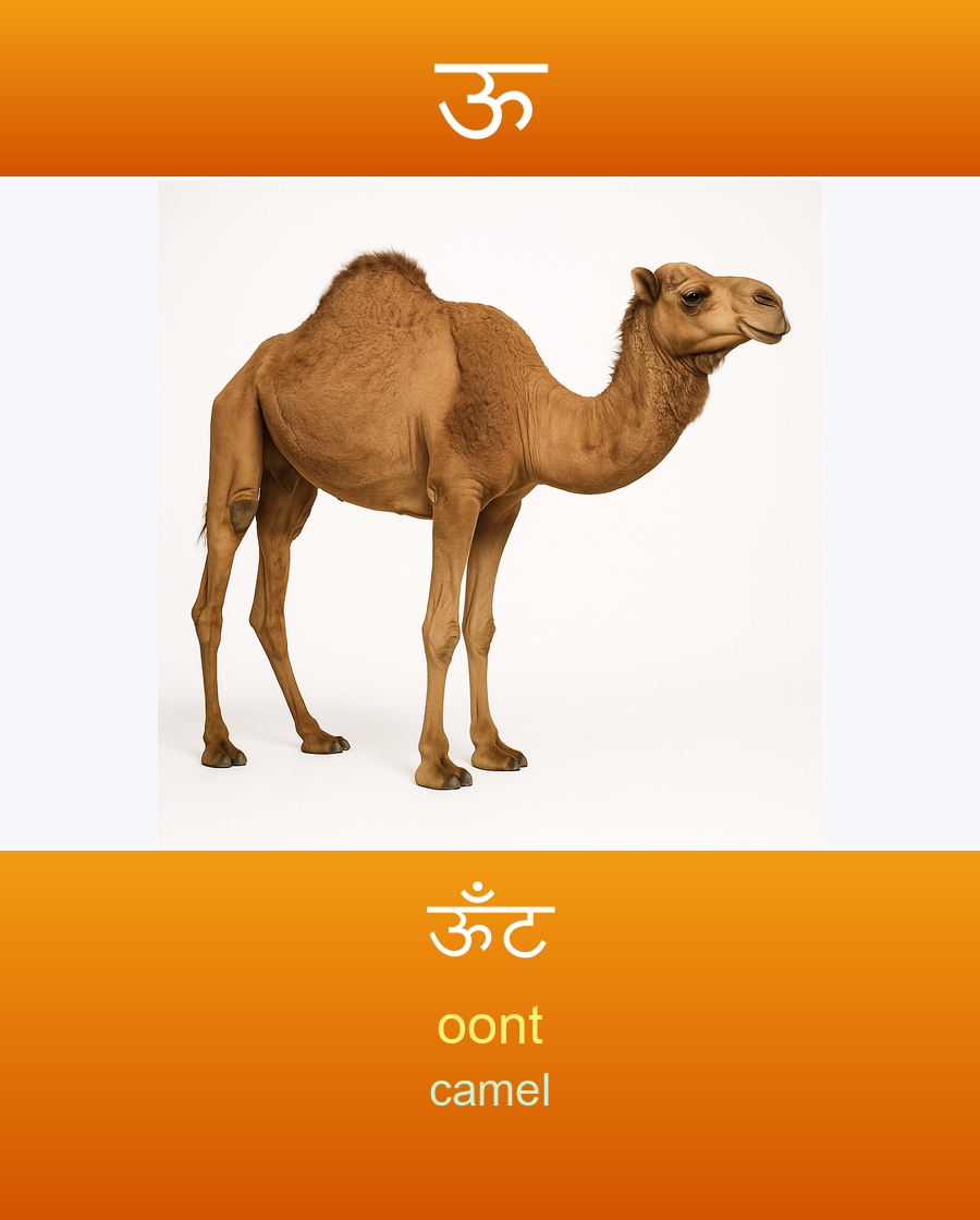 ऊ — ऊँट