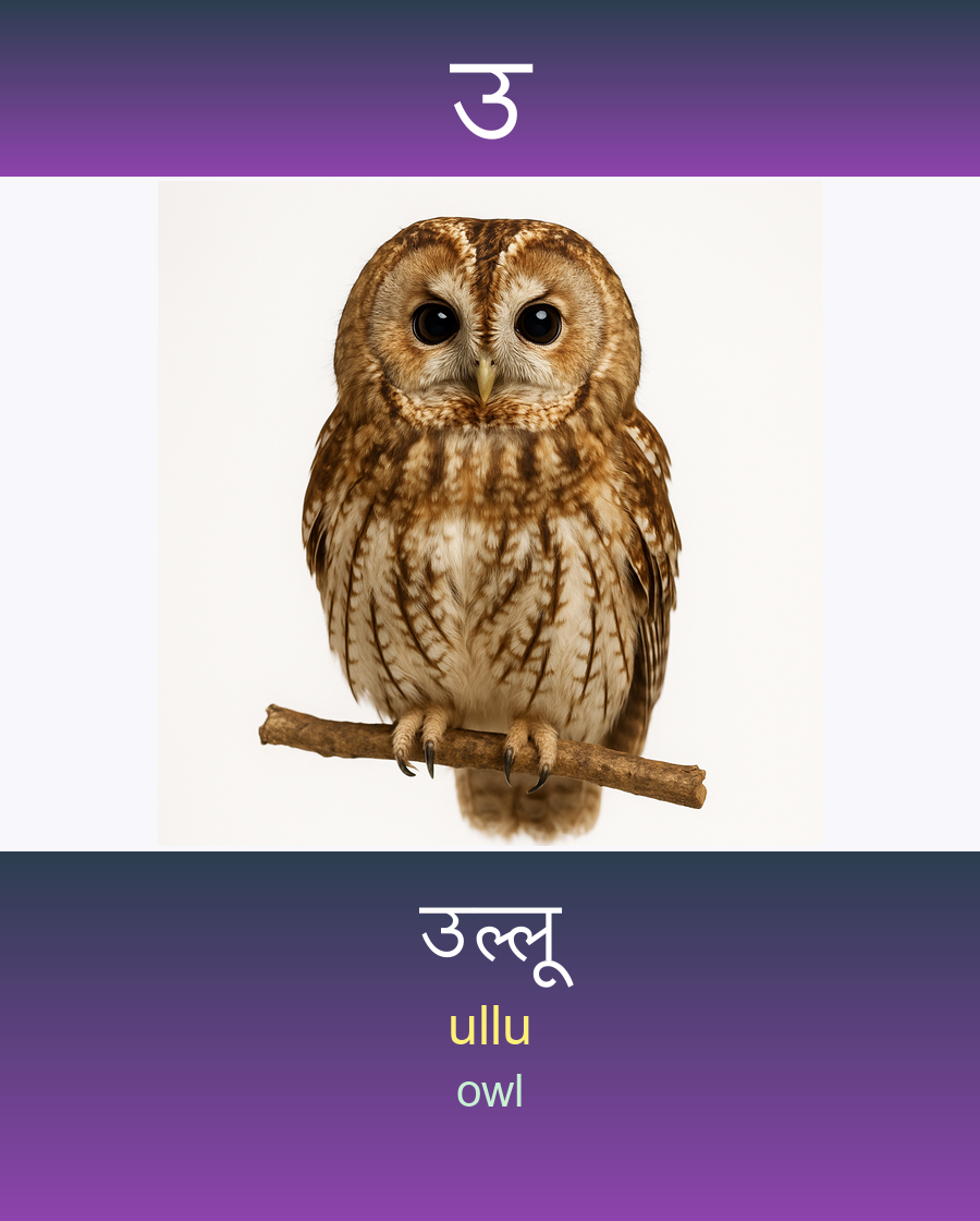 उ — उल्लू